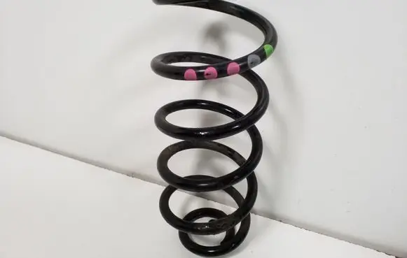 Rear coil spring