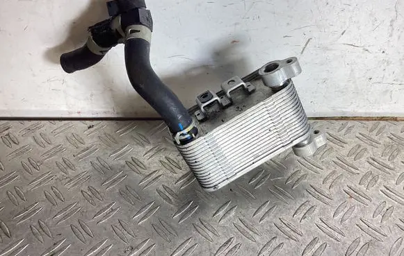 Lexus NX Optional radiator 