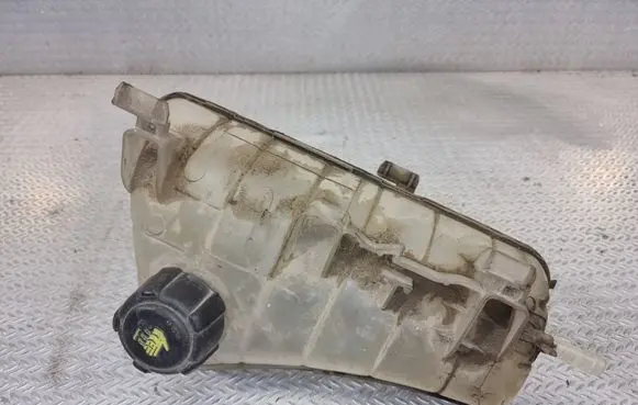 Renault Kangoo II Coolant expansion tank/reservoir 8200455786