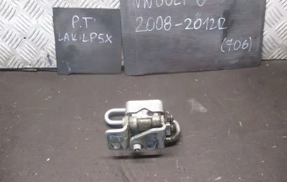 Volkswagen Golf VI Front door lower hinge 