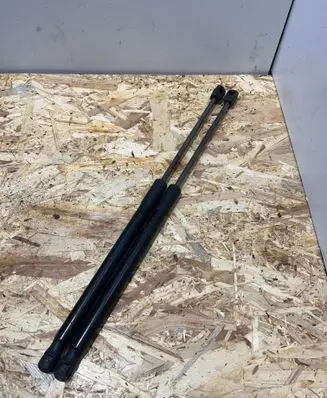 Tailgate strut