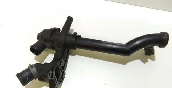 Thermostat/thermostat housing