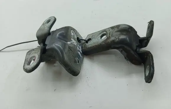 Hyundai Santa Fe Rear door hinge set 