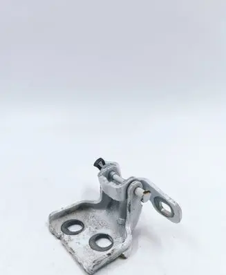 Dacia Sandero II Rear door lower hinge 