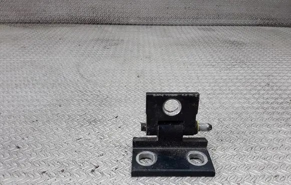 Volvo S80 Rear door lower hinge