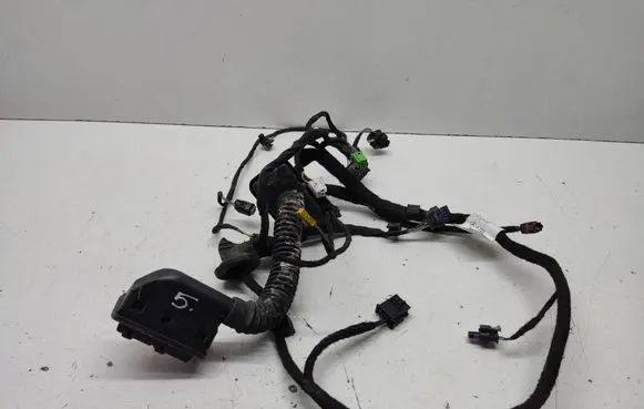 Mercedes-Benz S W222 Front door wiring loom A2225409307 301013Q07