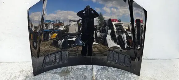 Engine bonnet/hood