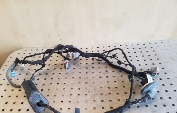 Front door wiring loom