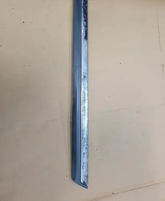 Volkswagen PASSAT B7 Rear door trim (molding) 3AA854949