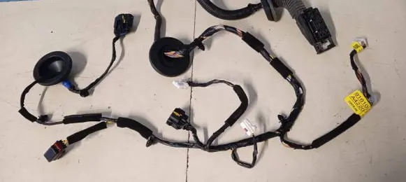 KIA Carens III Front door wiring loom 91610A4220
