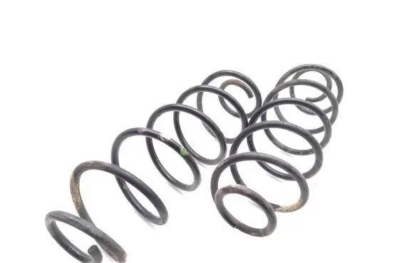 Rear coil spring