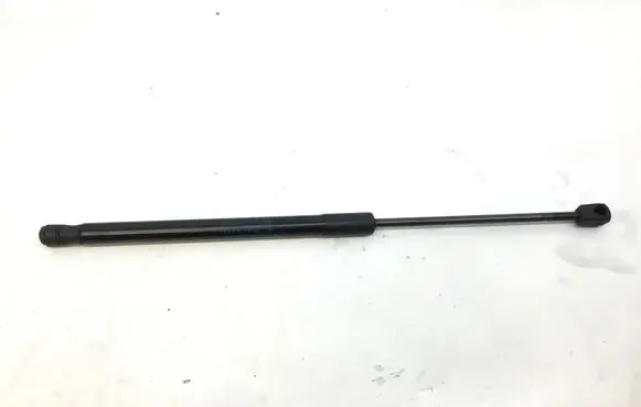 Mercedes-Benz AMG GT R190 C190 Front bonnet/hood damper/strut A1909800164