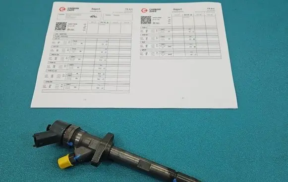 Citroen C5 Fuel injector 0445110036 IMPRK1593892