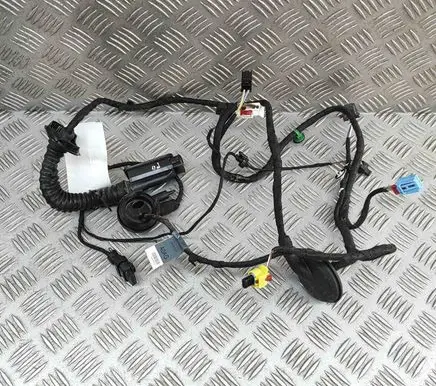Audi Q2 - Front door wiring loom 81A971030AG
