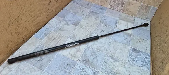 Front bonnet/hood damper/strut