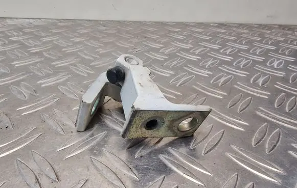 Volkswagen PASSAT B8 Front door lower hinge 8X0831404E