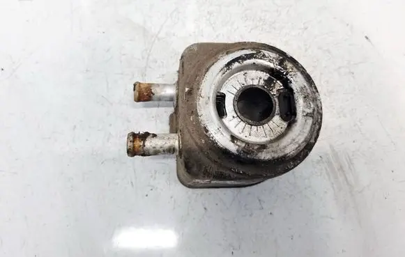Peugeot 307 Engine oil radiator 