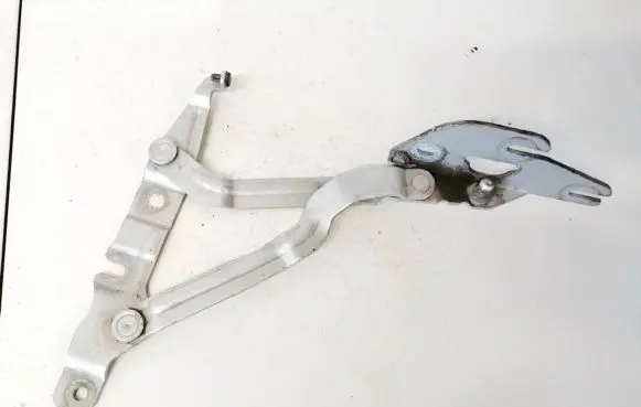 Tailgate/trunk/boot hinge