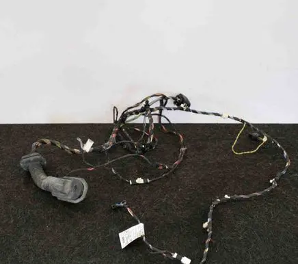 BMW X3 F25 Front door wiring loom 9252383