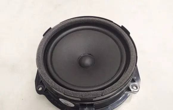 Rear door speaker