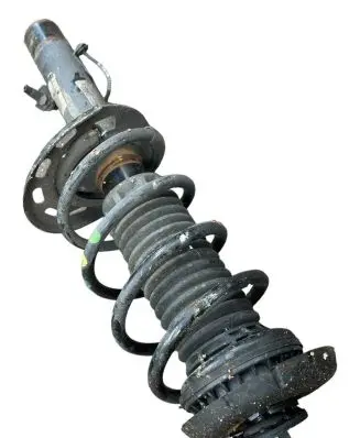 Opel Crossland X Front shock absorber with coil spring 9841119780