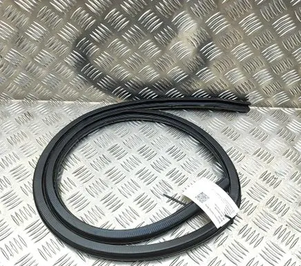 Lexus RC Rubber seal front coupe door 6231124040