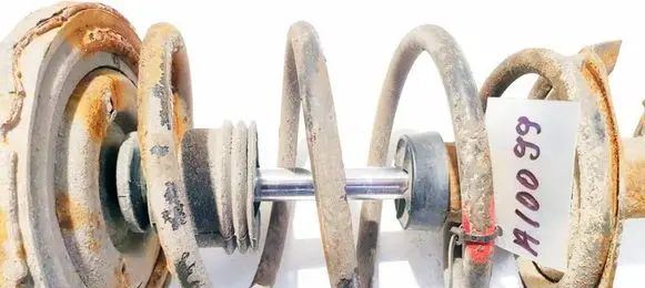 Front coil spring