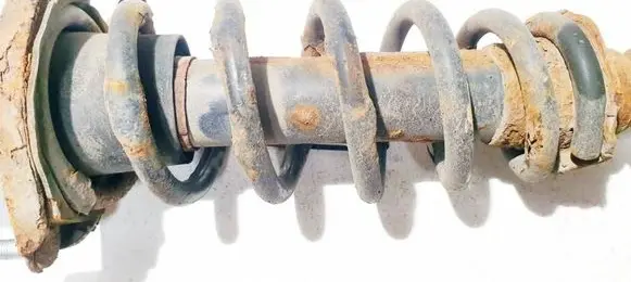 Rear coil spring