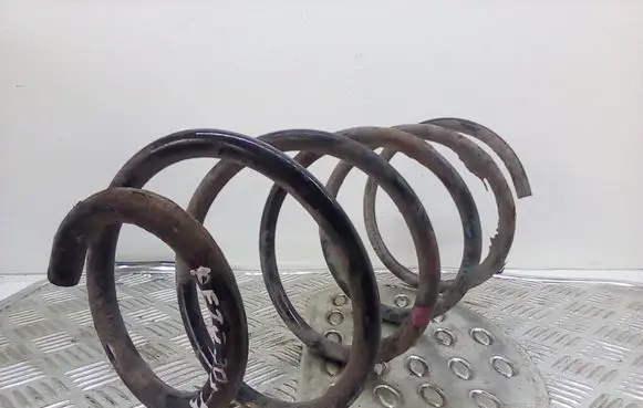 Front coil spring