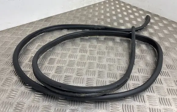 Nissan Juke II F16 Front door rubber seal 
