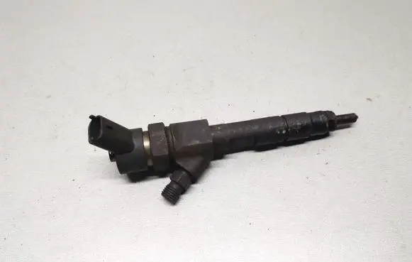 Renault Scenic I Fuel injector 0445110110B