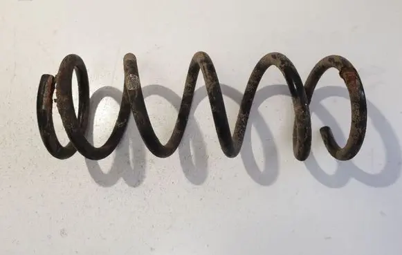 Rear coil spring