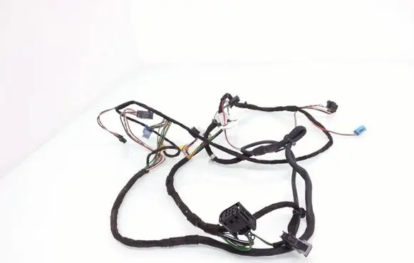 Front door wiring loom