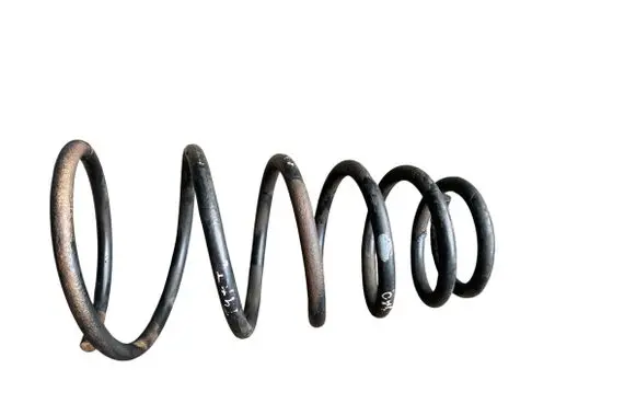 Rear coil spring