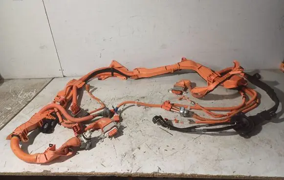 Lexus RX 450H Other wiring loom 821H248050