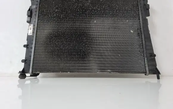 Renault Twingo II Coolant radiator 8200369307 880385L