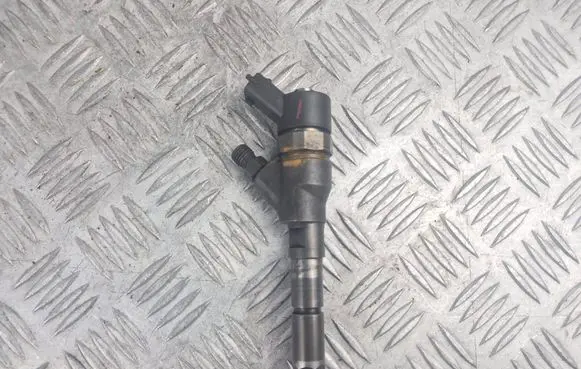 Peugeot 206 Fuel injector 9641742880