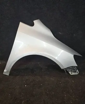 Volkswagen Golf Plus Fender