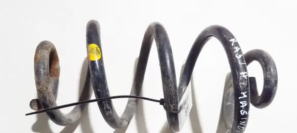 Nissan X-Trail T31 Rear coil spring