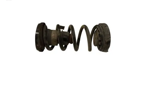 Chrysler Pacifica Rear coil spring P68231034AA