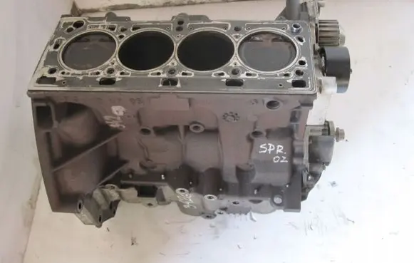 Renault Scenic III - Grand scenic III Engine block K4M858
