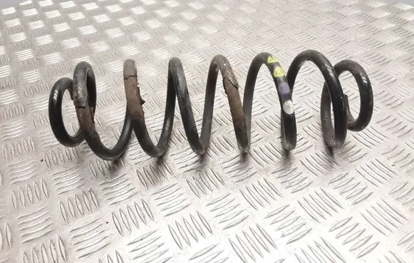 Volkswagen PASSAT B7 Rear coil spring