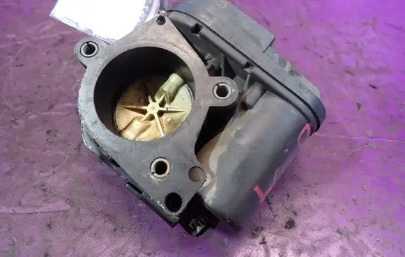 Citroen Xsara Picasso Throttle body valve 