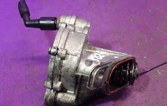Volkswagen PASSAT B5.5 Vacuum pump 