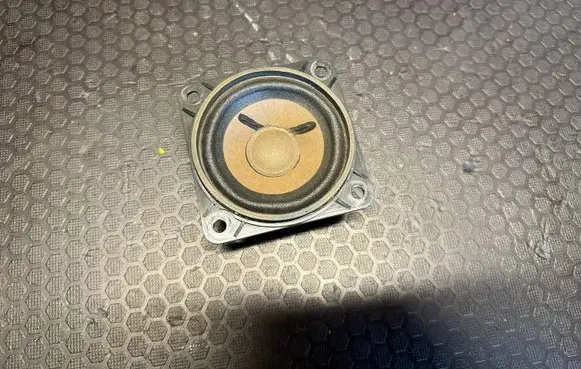 Panel speaker