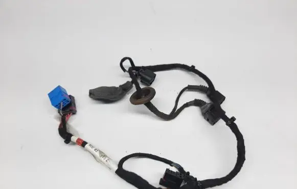 Bentley Flying Spur Front door wiring loom 3W5971693A