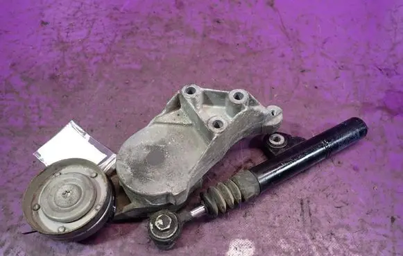 Seat Leon (1M) Timing belt/chain tensioner 