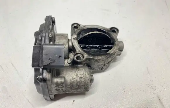 Throttle body valve
