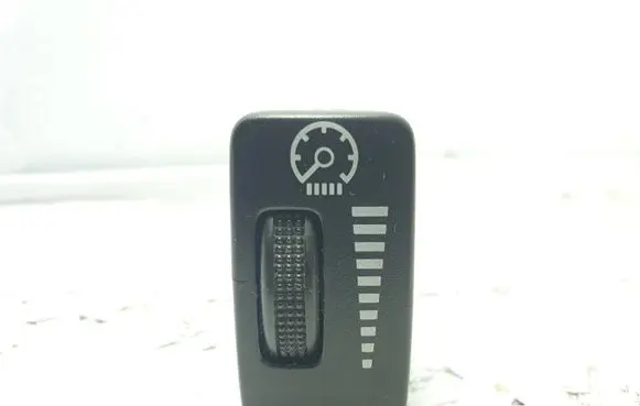 Panel lighting control switch