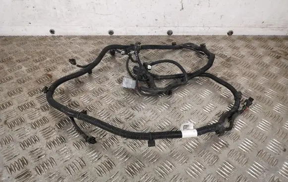 Peugeot 5008 Parking sensor (PDC) wiring loom 20118216